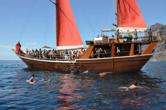 Bathe in Los Gigantes with Shogun boat