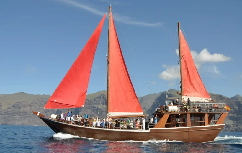 5-Hour Whale Watching Round Trip from Costa Adeje to Los Gigantes in Tenerife