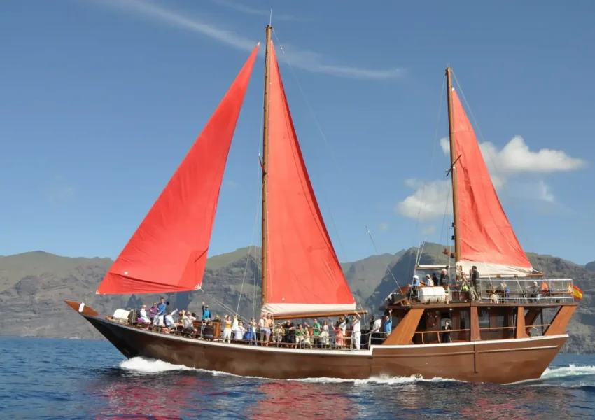 Sailing boat whale watching tour in Tenerife