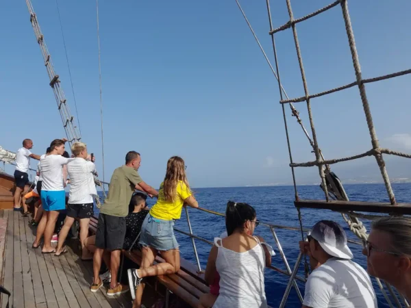 Passengers watching whales and dolphins from the Peter Pan ship