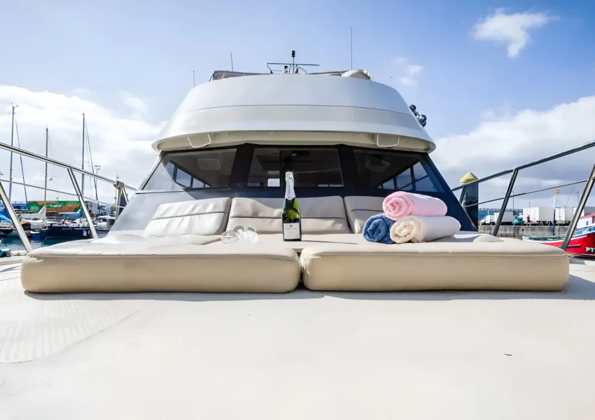 neptuno yacht whale watching in tenerife